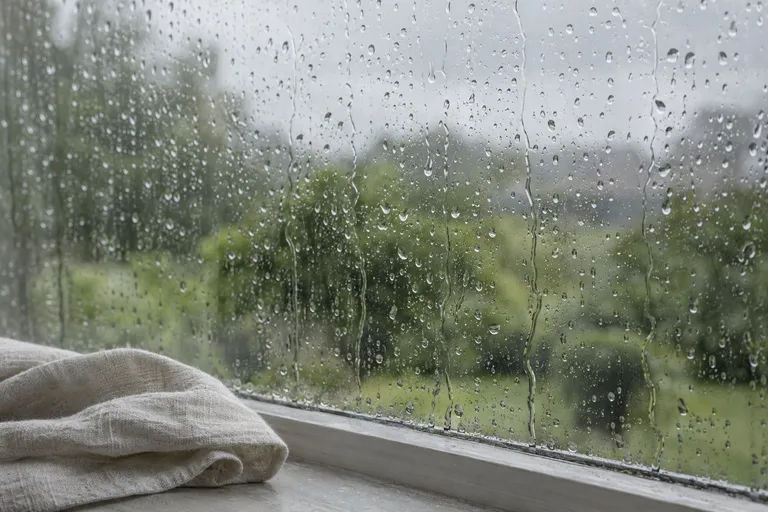 Regendruppels op een raam, met een wazige groene tuin erachter